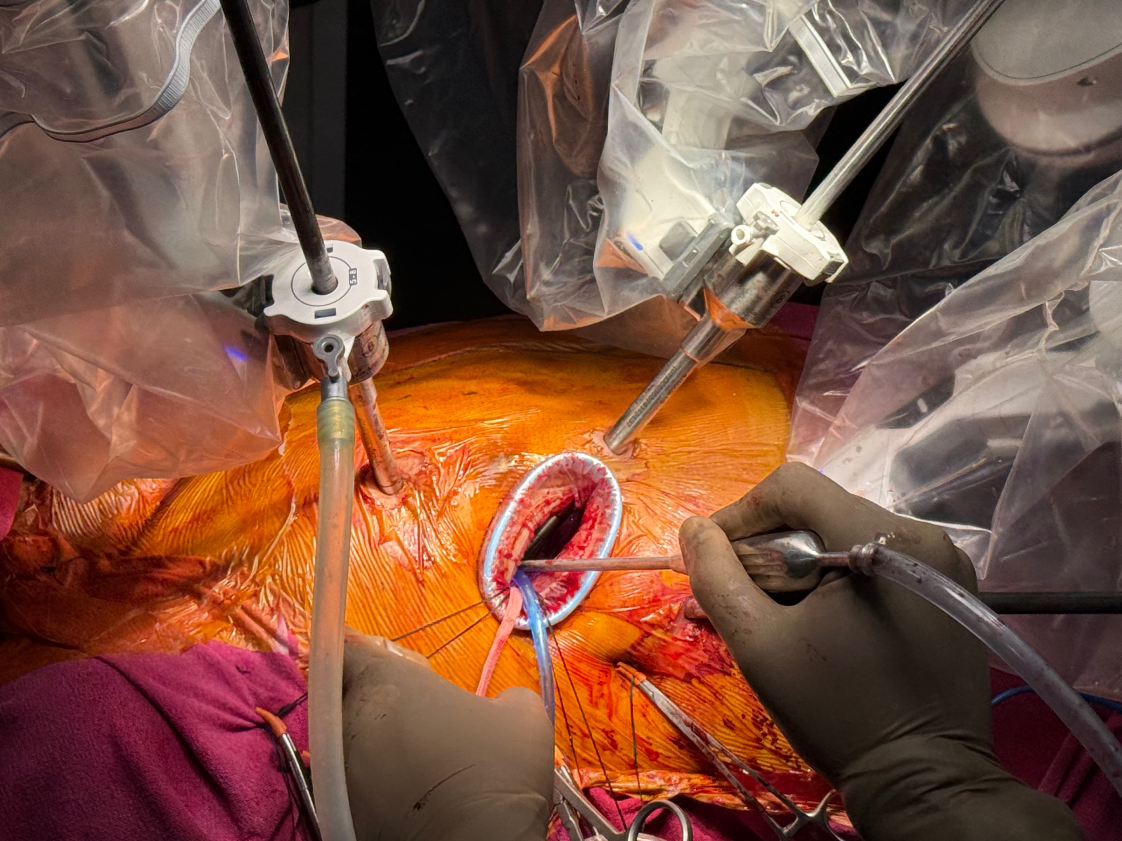 Dr. Nisarga — cardiac care team collaboration